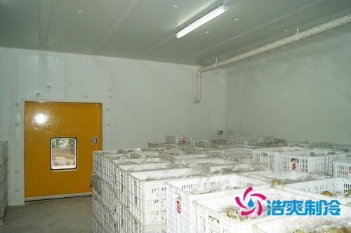 圖示:浩爽制冷為蜜之源果業建造的柑橘氣調冷庫