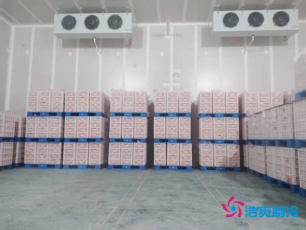 氣調保鮮庫完工內(nèi)景