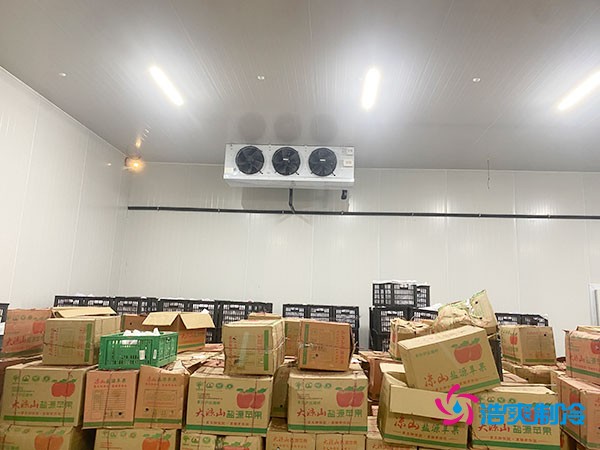 水果冷庫(kù)造價(jià)多少一立方