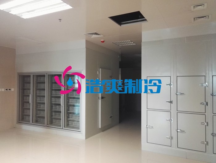 浩爽制冷，后補式疫苗冷庫