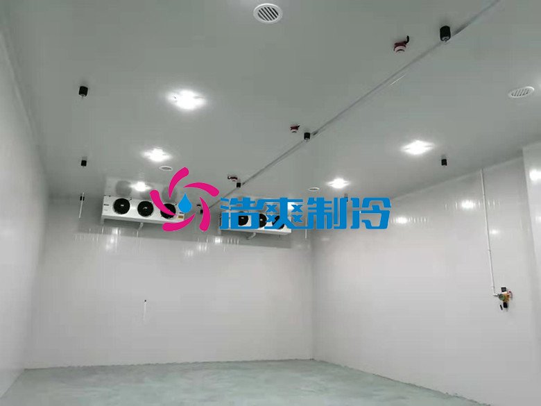 浩爽制冷,巧克力冷藏庫(kù)