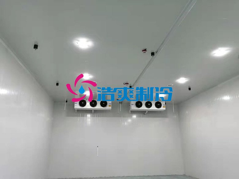 浩爽制冷,巧克力冷藏庫(kù)